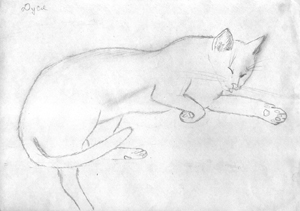 мои рисунки