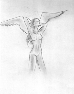 мои рисунки